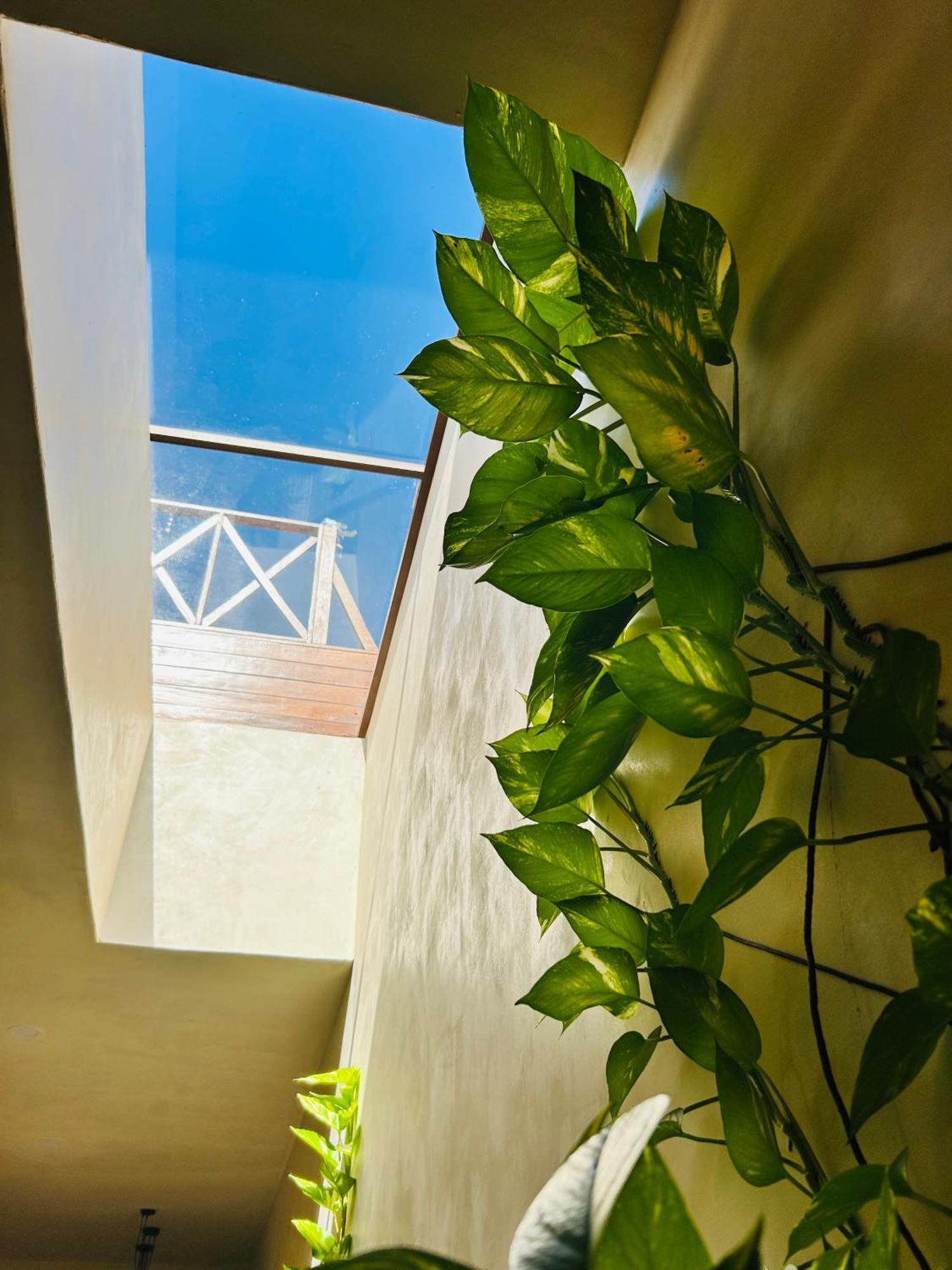 Sunsteps Casa Holbox Apartamento Exterior foto